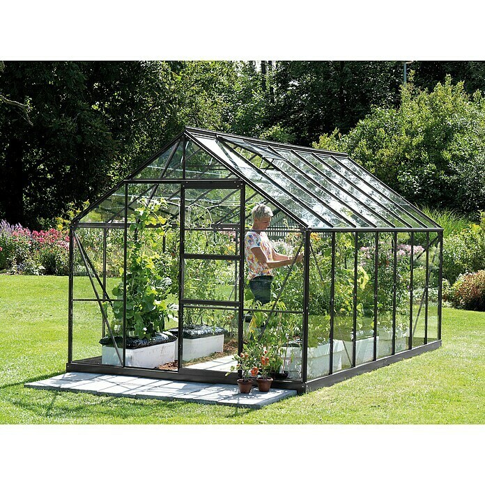 Vitavia Gewächshaus Merkur 11500 Plus (4,45 x 2,57 x 2,3 m, Farbe: Anthrazit, Einscheibensicherheitsglas (ESG), 3 mm)