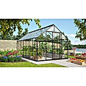 Vitavia Gewächshaus Merkur 11500 Plus (4,45 x 2,57 x 2,3 m, Farbe: Anthrazit, Einscheibensicherheitsglas (ESG), 3 mm)