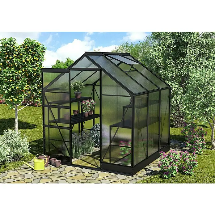 Vitavia Gewächshaus Apollo 3800 - Außenmaß inkl. Dachüberstand (B x T): 195 x 199 cm, 6 mm, Schwarz - Geräumiges Gewächshaus mit Regalen und Pflanzen, umgeben von üppigem Grün und einem Steinweg.