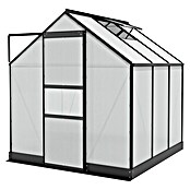 Vitavia Gewächshaus (1,99 x 1,95 x 2,07 m, Glasstärke: 6 mm, Polycarbonat, Anthrazit)