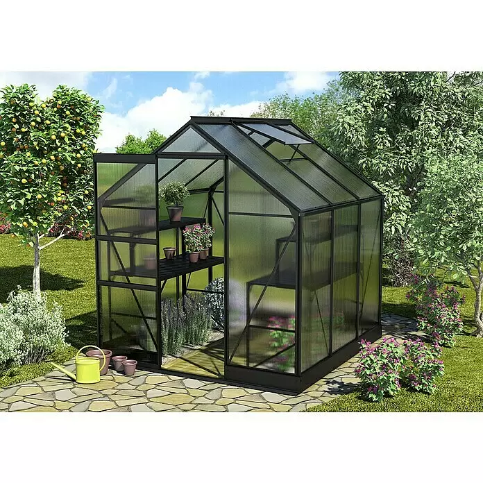 Vitavia Gewächshaus Apollo 3800 - Außenmaß inkl. Dachüberstand (B x T): 195 x 199 cm, 4 mm, Schwarz - Schwarz gerahmtes Gewächshaus mit durchscheinenden Paneelen, mit Pflanzen auf Regalen, auf einer Steinterrasse in einem Garten.