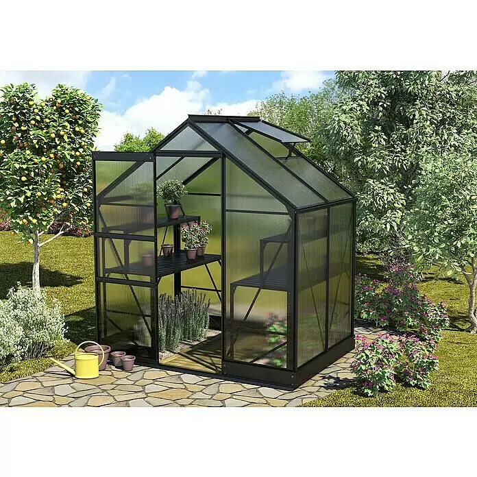 Vitavia Gewächshaus Apollo 2500 - Außenmaß inkl. Dachüberstand (B x T): 195 x 137 cm, 6 mm, Schwarz - Schwarzes Gewächshaus mit lichtdurchlässigen Platten, Inneneinrichtung mit Topfpflanzen, in einem sonnigen Garten.