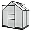 Vitavia Gewächshaus (1,37 x 1,95 x 1,36 m, Glasstärke: 6 mm, Polycarbonat, Anthrazit)