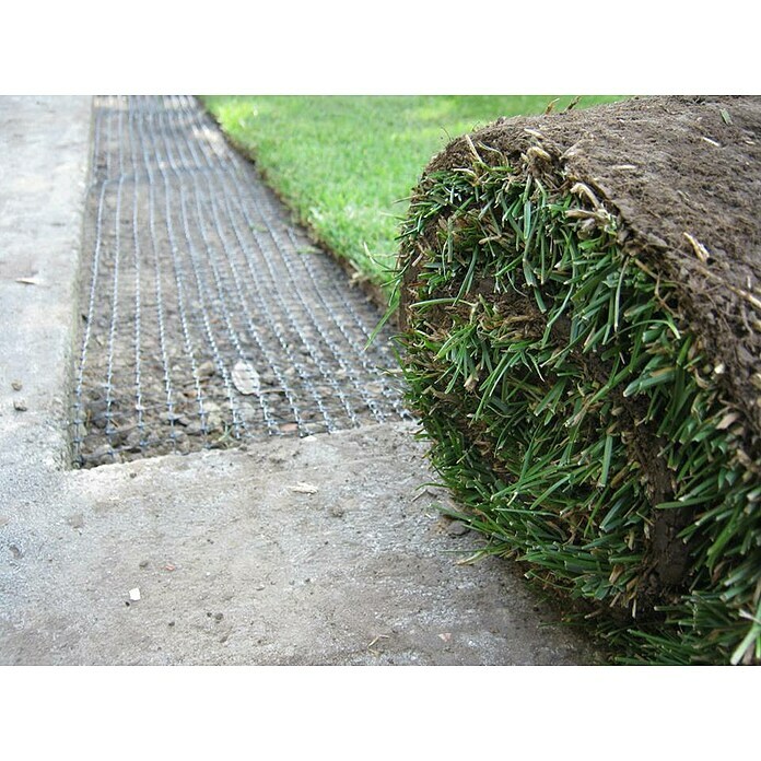 Žičnata mreža  (100 x 2 m) | 7481 - Folien / Netze / Winterschutz | IAGG - Gartenartikel | IAG - Außenbereichsausstattung | IA - Gartenhartware | I - Stadtgarten | BAUHAUS