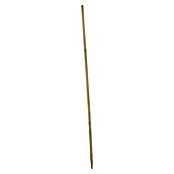 Palica za rastlino  (2,2 x 2,2 x 150 cm) | 7414 - Palisaden/Pfosten/ Pfähle | IAGB - Gartenholz | IAG - Außenbereichsausstattung | IA - Gartenhartware | I - Stadtgarten | BAUHAUS
