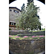Nortene Mrežasta ograda Square  (Srebrne boje, Š x V: 5 x 0,5 m) | BAUHAUS