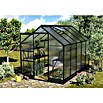 Vitavia Gewächshaus (3,23 x 1,95 x 2,07 m, Glasstärke: 6 mm, Polycarbonat, Anthrazit)