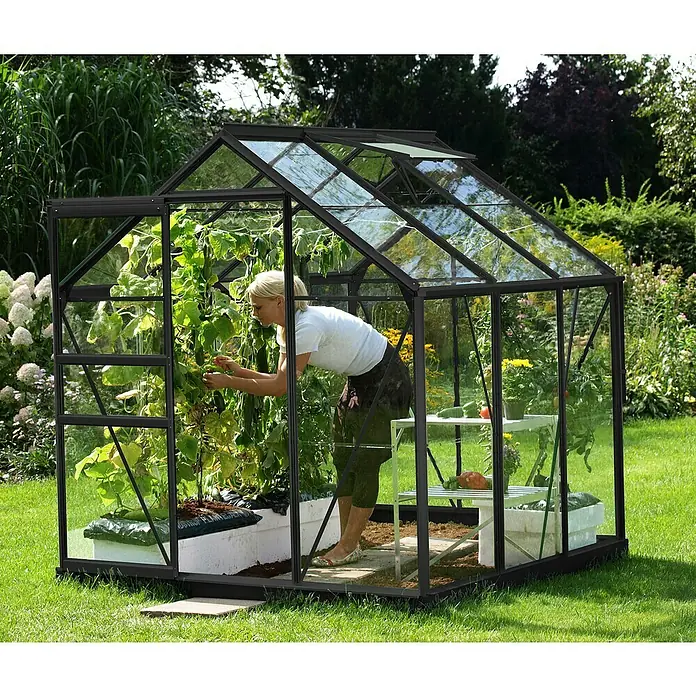 Vitavia Gewächshaus Venus 3800 - Außenmaß inkl. Dachüberstand (B x T): 195 x 195 cm, 3 mm, Schwarz - Frau im Gewächshaus, die sich um Pflanzen kümmert. Das Gewächshaus bietet ideale Bedingungen für den Anbau verschiedener Pflanzen.