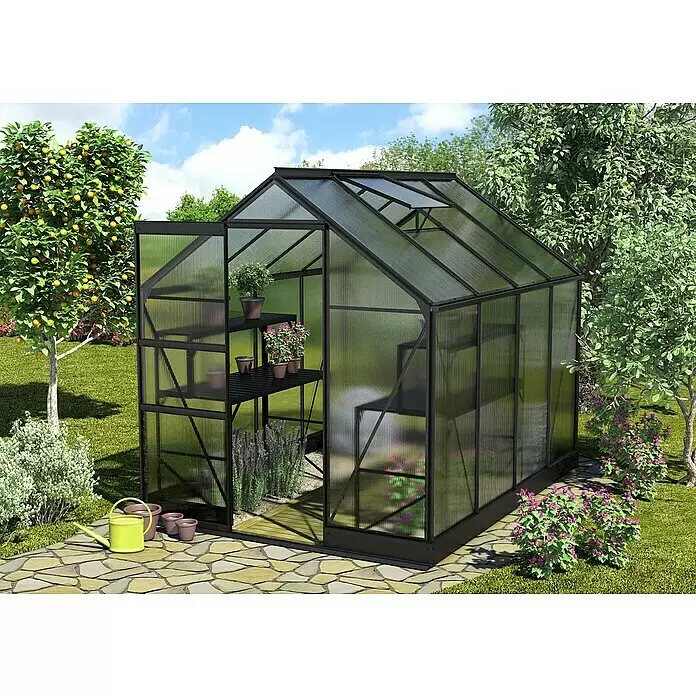 Vitavia Gewächshaus Apollo 5000 - Außenmaß inkl. Dachüberstand (B x T): 195 x 261 cm, 6 mm, Schwarz - Schwarzes Gewächshaus mit lichtdurchlässigen Wänden, bepflanzt, auf Steinweg in sonnigem Garten.