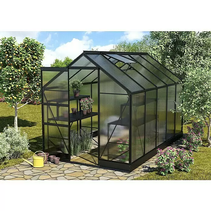 Vitavia Gewächshaus Apollo 6200 - Außenmaß inkl. Dachüberstand (B x T): 195 x 323 cm, 4 mm, Schwarz - Schwarz umrahmtes Gewächshaus mit lichtdurchlässigen Paneelen, offener Dachluke und Tür, steht in einem Garten mit Topfpflanzen und Gartengeräten.