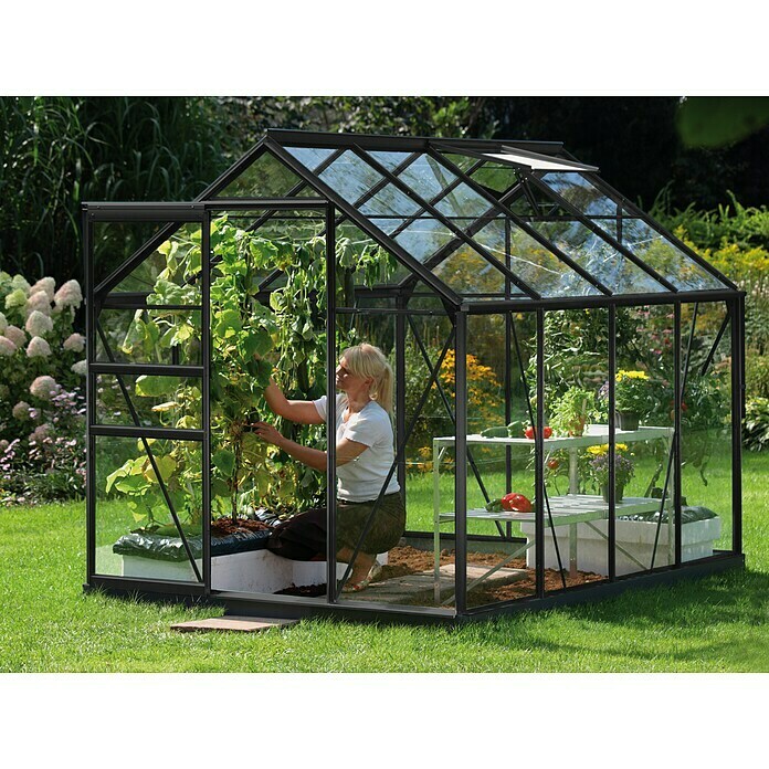 Vitavia Gewächshaus Venus 50002,57 x 1,95 x 1,97 m, Glasstärke: 3 mm, Sicherheitsglas, Schwarz Use Shot