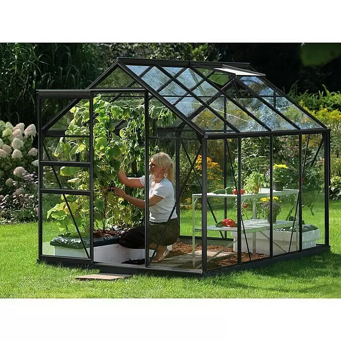 Vitavia Gewächshaus Venus 5000 - Außenmaß inkl. Dachüberstand (B x T): 195 x 257 cm, 3 mm, Schwarz - Anwendungsbeispiel