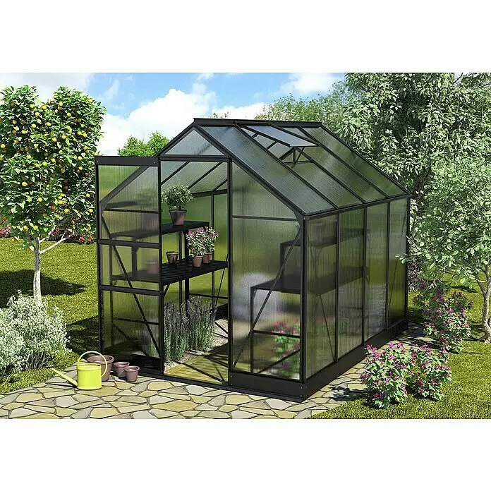 Vitavia Gewächshaus Apollo 5000 - Außenmaß inkl. Dachüberstand (B x T): 195 x 261 cm, 4 mm, Schwarz - Schwarz gerahmtes Gewächshaus mit lichtdurchlässigen Platten, geöffneter Tür und Dachlüfter, in einem Garten mit Pflanzen und Steinweg.
