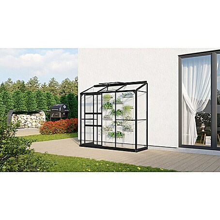 Vitavia Gewächshaus Styx 1300 (Außenmaß inkl. Dachüberstand (B x T): 192,8 x 69 cm, 3 mm, Schwarz)