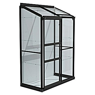 Vitavia Gewächshaus Styx 900 (Außenmaß inkl. Dachüberstand (B x T): 130,6 x 69 cm, 3 mm, Schwarz)