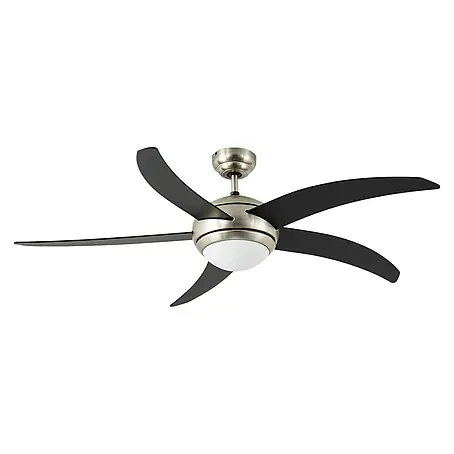 Arte confort  Ventilador de techo Rocio