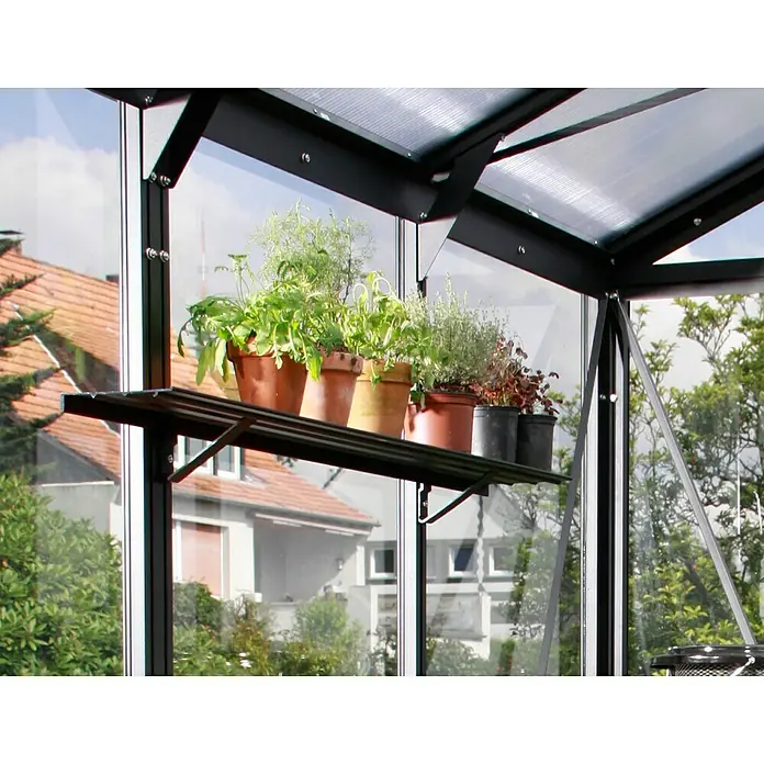 Vitavia Gewächshaus Freya 5900 Plus - Außenmaß inkl. Dachüberstand (B x T): 229 x 258 cm, Material Seitenwand: Kunststoff, 6 mm, Schwarz - Aufnahme eines Gewächshauses mit einem Regal voller Kräutertöpfe, das professionelle Pflanzenzucht ermöglicht.
