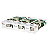 Keter Vrtna kutija za pohranu Store It Out Arc  (D x Š x V: 146 x 82 x 120 cm, Bež-smeđe boje, Plastika) | BAUHAUS