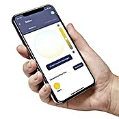 Eglo LED-Lampe Smart Home (E27, Dimmbar, Warmweiß, 500 lm, 5,5 W) | BAUHAUS