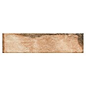 Zidna pločica Cerrad Stone Piatto Terra  (7,4 x 30 cm, Mat) | BAUHAUS