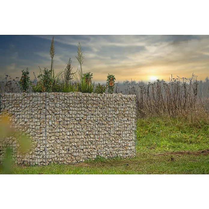 Gabiona Hochbeet - 200 x 100 x 100 cm, Metall - Gabionenmauer mit Bepflanzung auf einer grünen Wiese vor einem Feld mit Sonnenuntergang, die eine natürliche und robuste Gartengestaltung zeigt.