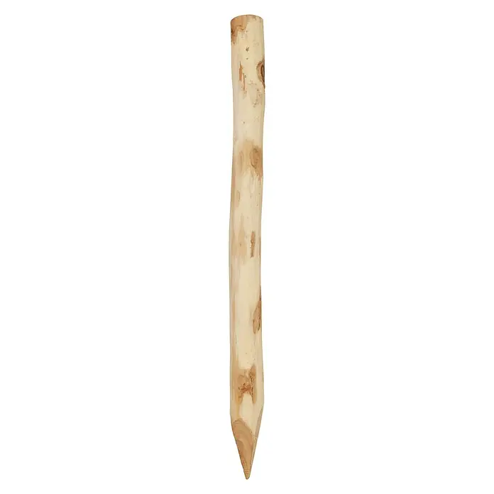 Kiehnholz Zaunpfahl - Höhe: 125 cm, Natur - Nahaufnahme eines Holzpfostens mit spitzem Ende, ideal für Gartenprojekte oder rustikale Dekorationen.