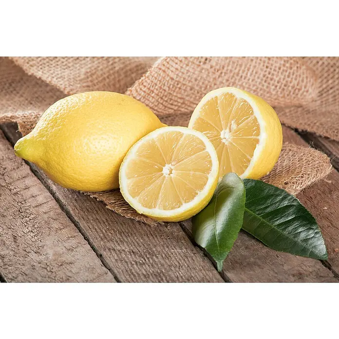 Piardino Zitronenbaum - Citrus limon, Topfgröße: 35 cm, Aktuelle Wuchshöhe: 140 cm - 160 cm - Frische Zitrone mit Zitronenscheiben und grünen Blättern auf rustikalem Holztisch.