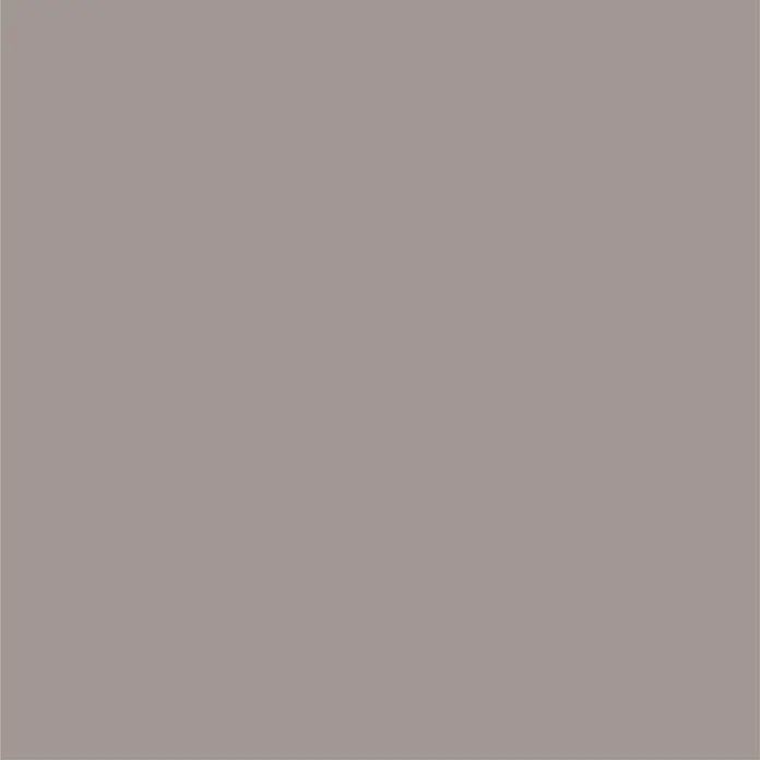 Bondex Dauerschutzfarbe - Taupe hell, 750 ml - Elegante, einfarbige Fläche in einem sanften Grauton, ideal als ruhiger Hintergrund für vielfältige Designprojekte und Webseiten.