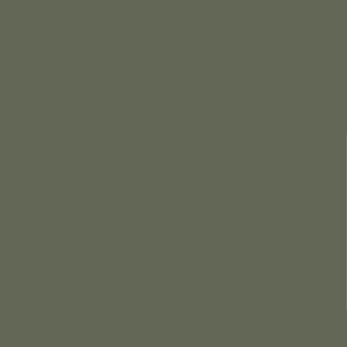 BONDEX Dauerschutzfarbe Norge Grün