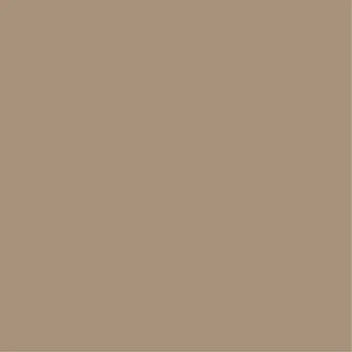 Bondex Kreidefarbe - Elegantes Taupe, 500 ml - Eine schlichte, einfarbige Fläche in einem neutralen Beigeton. Ideal als Hintergrund oder für minimalistische Designs.