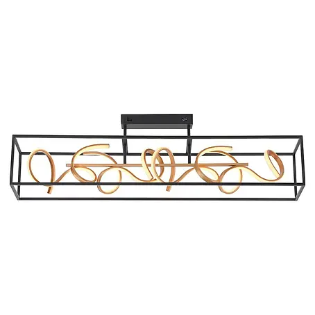 Paul Neuhaus LED-Deckenleuchte