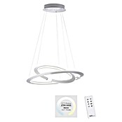 Paul Neuhaus LED-Pendelleuchte (59 W, L x B x H: 71,5 x 71,5 x 40 cm, Stahl, Sonstige) | BAUHAUS