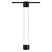 Paulmann URail LED-Pendelleuchte Aldan (Schwarz matt, Dimmbar) | BAUHAUS