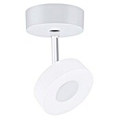 Paulmann URail LED-Spot Spot-Base (Weiß, 10 cm) | BAUHAUS