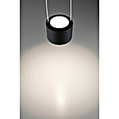 Paulmann URail LED-Pendelleuchte Aldan (Schwarz matt, Dimmbar) | BAUHAUS