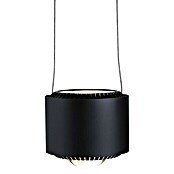 Paulmann URail LED-Pendelleuchte Aldan (Schwarz matt, Dimmbar) | BAUHAUS