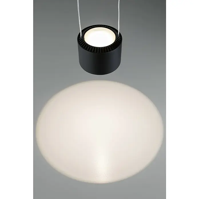 Paulmann URail LED-Pendelleuchte Aldan - Schwarz matt, Dimmbar - Die moderne LED-Pendelleuchte in Schwarz sorgt für eine angenehme Beleuchtung. Sie ist ideal für Wohn- und Geschäftsräume und ein echter Hingucker.