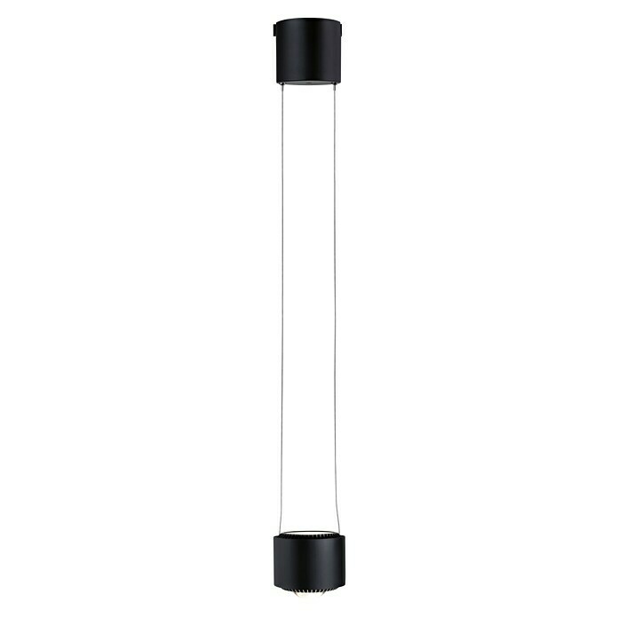 Paulmann URail LED-Pendelleuchte Aldan (Schwarz matt, Dimmbar) | BAUHAUS