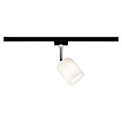 Paulmann URail LED-Spot Blossom (10 W, Schwarz/Satin, G9) | BAUHAUS