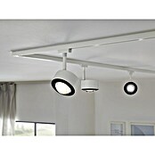 Paulmann URail LED-Spot Aldan (Weiß) | BAUHAUS