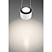 Paulmann URail LED-Pendelleuchte Aldan (Weiß, Dimmbar) | BAUHAUS