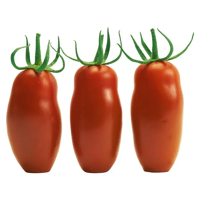 Piardino Tomate Bio - Solanum lycopersicum 'Caprese', 12 cm - Drei San Marzano Tomaten mit grünen Stielen auf schwarzem Hintergrund.