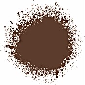 Liquitex Professional Lak za raspršivanje Burnt Sienna  (Bordo crvena, 400 ml) | BAUHAUS