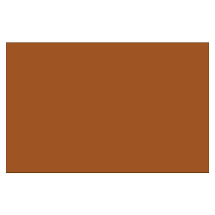 Liquitex Professional Lak za raspršivanje Raw Sienna  (Svijetlo smeđa, 400 ml) | BAUHAUS