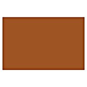 Liquitex Professional Lak za raspršivanje Raw Sienna  (Svijetlo smeđa, 400 ml) | BAUHAUS