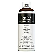 Liquitex Professional Lak za raspršivanje Raw Umber  (Smeđa, 400 ml) | BAUHAUS