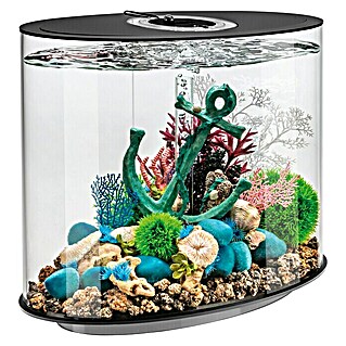 biOrb Aquarium Loop (510 x 310 x 530 mm, 30 l, LED, Schwarz)