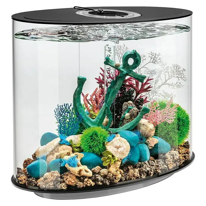 biOrb Aquarium Loop - 510 x 310 x 530 mm, 30 l, Schwarz - Ein modernes Aquarium mit auffälliger Dekoration, darunter ein grüner Anker und farbenfrohe Korallen, bietet eine stilvolle Unterwasserwelt.