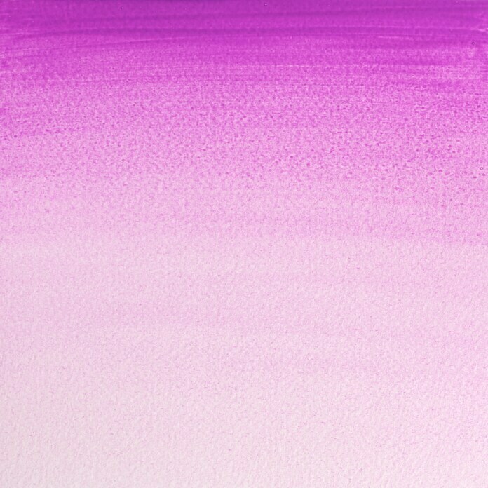 Winsor & Newton Aquarellfarbe ProfessionalKobaltviolett, ½ Näpfchen Detail Shot