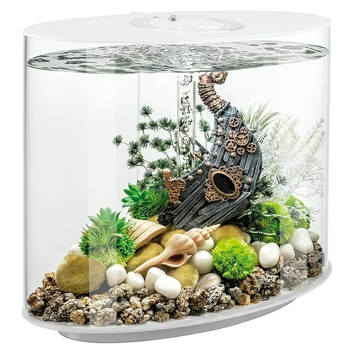 biOrb Aquarium Loop - 510 x 310 x 530 mm, 30 l, Weiß - Ein oval geformtes Aquarium mit einer dekorativen Schiffswrack-Verzierung, Steinen und Pflanzen, die eine Unterwasserlandschaft erzeugen.